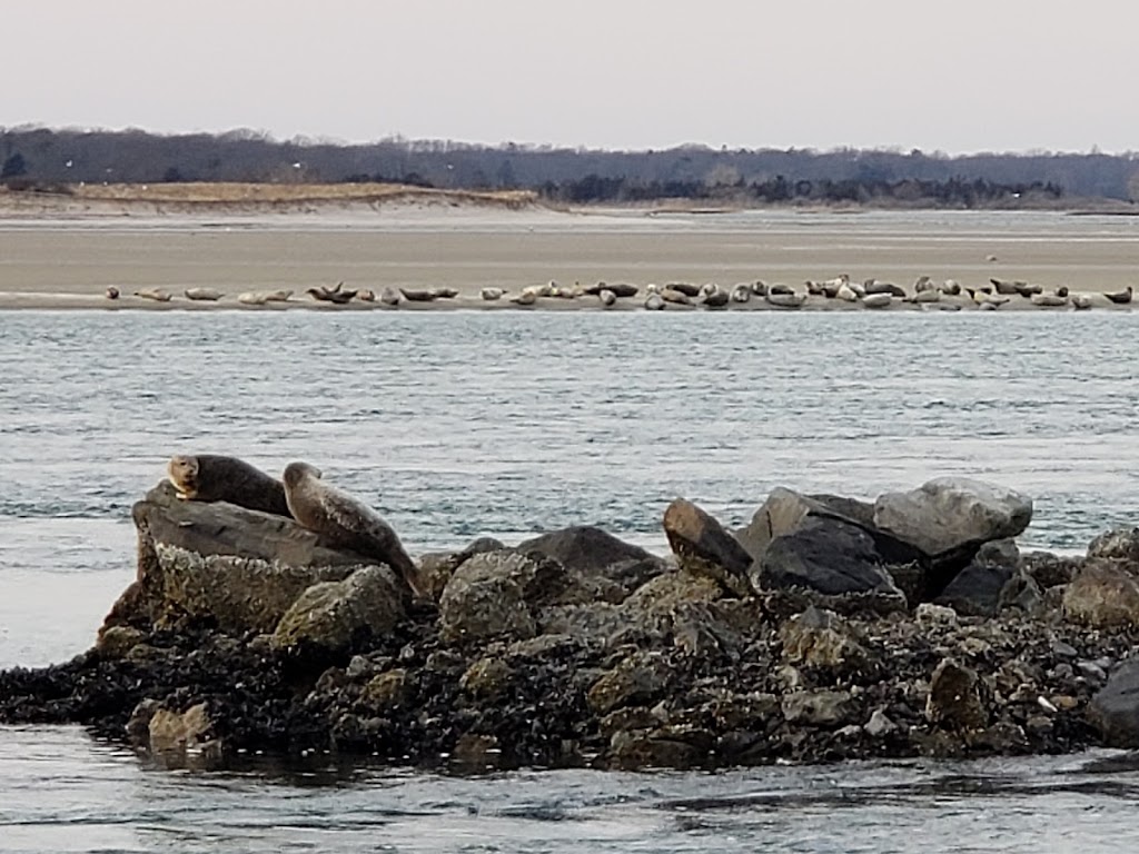 Cupsogue Beach County Park | 975 Dune Rd, Westhampton Beach, NY 11978 | Phone: (631) 852-8111