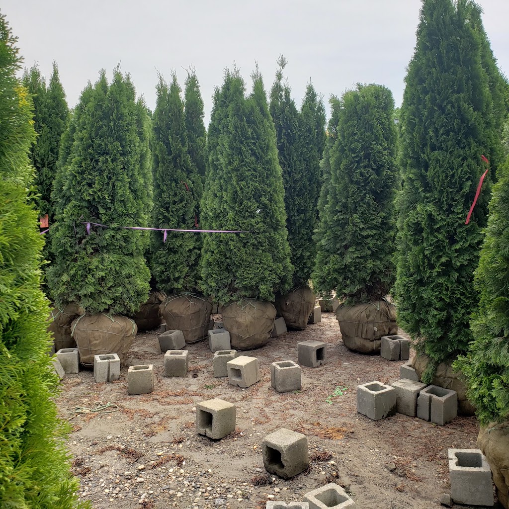 SiteOne Landscape Supply | 1081 King St, Greenwich, CT 06831 | Phone: (203) 531-7352