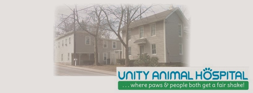 Unity Animal Hospital | 1 Providence Rd, Wallingford, PA 19086 | Phone: (610) 285-9889