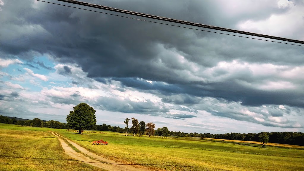 UMass Equine and Livestock Research and Education Farm | 111 N Maple St, Hadley, MA 01035 | Phone: (413) 549-3253