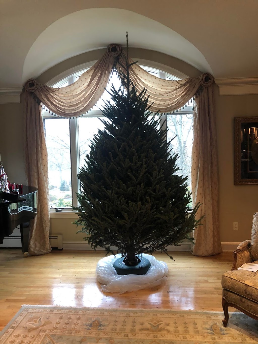 Long Island Christmas Tree Delivery | 110 Jericho Turnpike, Mineola, NY 11501 | Phone: (516) 524-9428