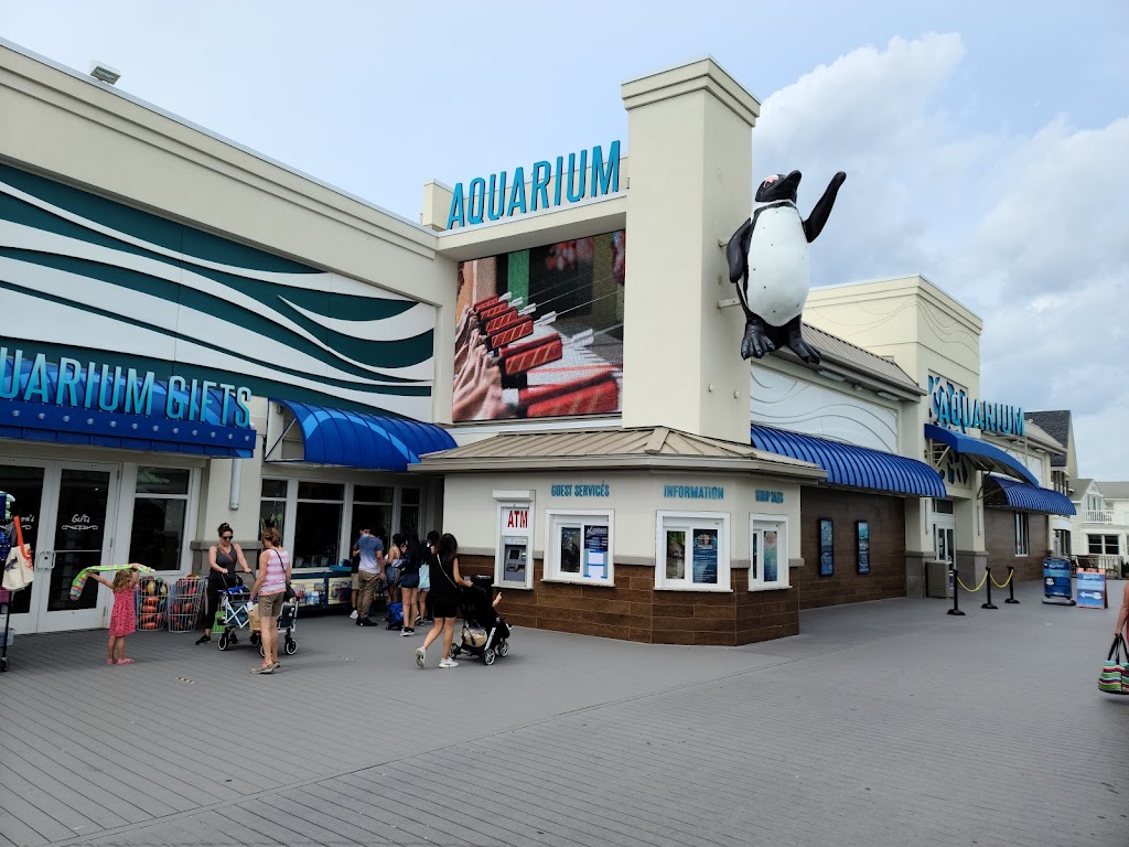 Jenkinsons Aquarium | 300 Ocean Ave N, Point Pleasant Beach, NJ 08742 | Phone: (732) 899-1212