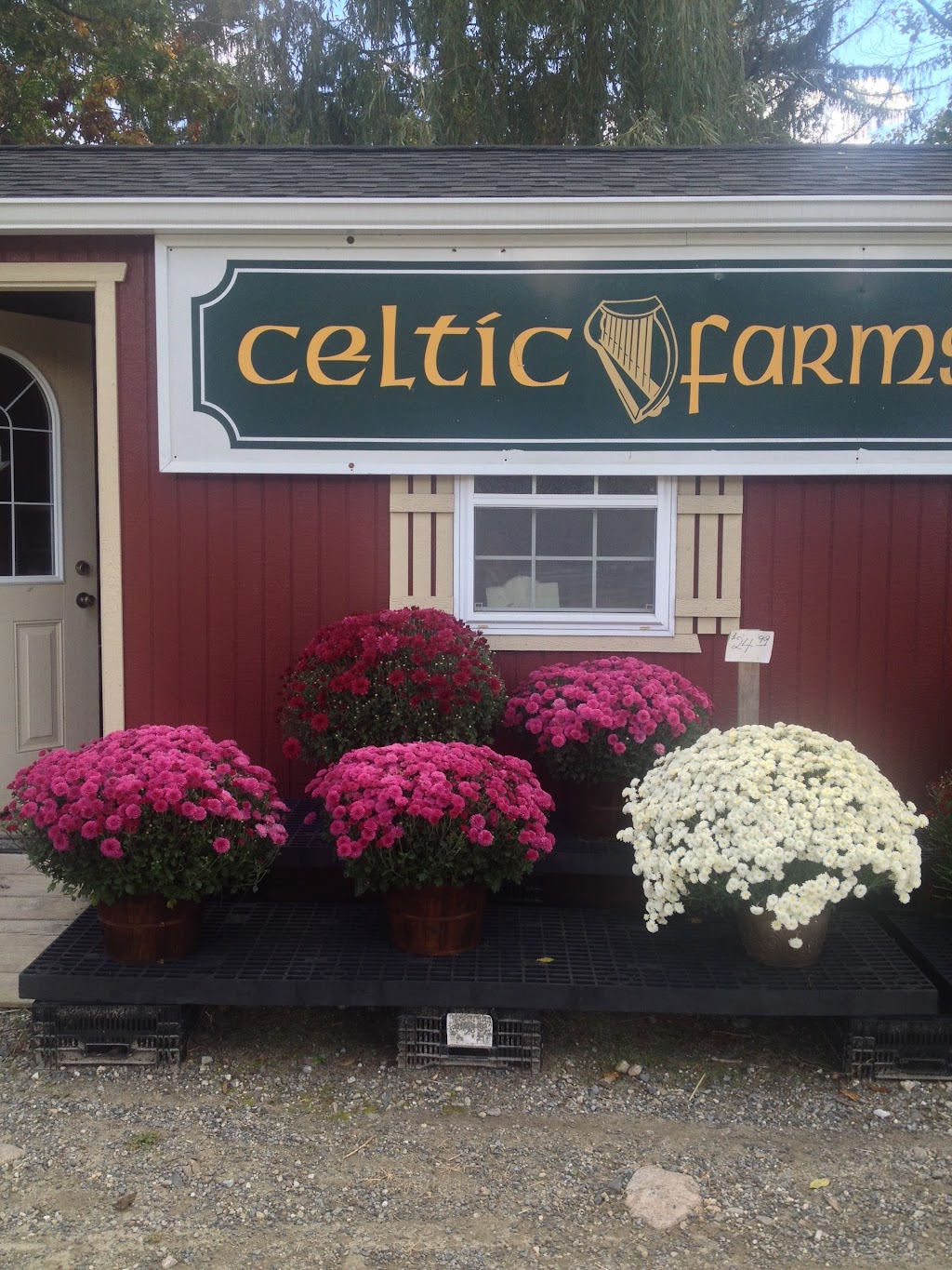 Celtic Farms & Nursery and Sheds | 1451 Strawberry Rd, Shrub Oak, NY 10588 | Phone: (914) 526-4437