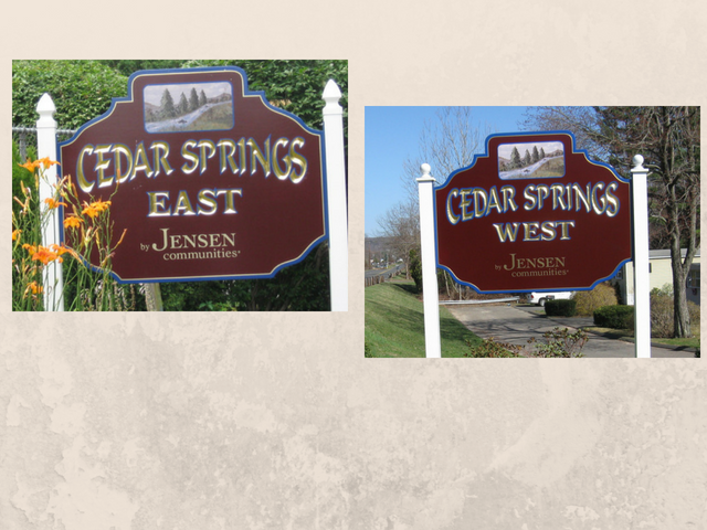 Cedar Springs | 246 Redstone St, Southington, CT 06489 | Phone: (860) 793-0281
