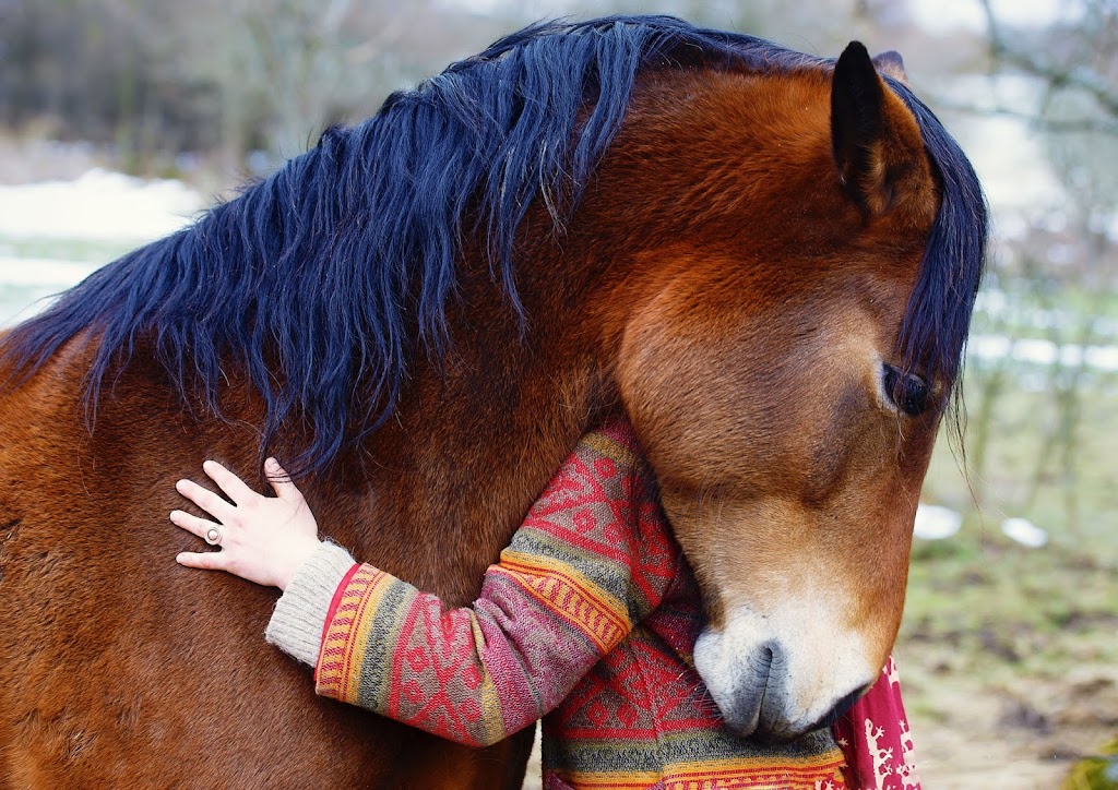 Step Into Joy Healing Arts | 5513 Haverhill Ln, Doylestown, PA 18902 | Phone: (267) 272-9343