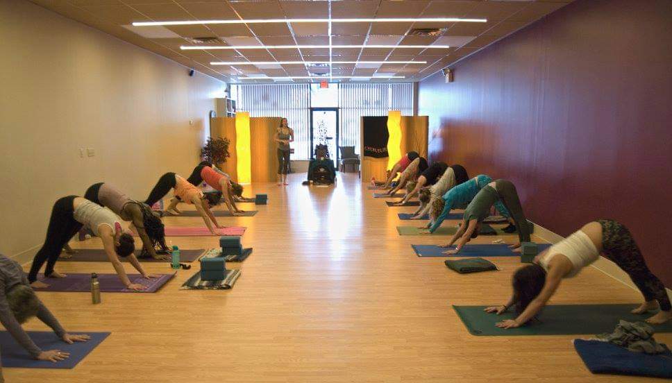 Yoga with Tamantha | 1328 Chestnut St, Emmaus, PA 18049 | Phone: (610) 217-4455