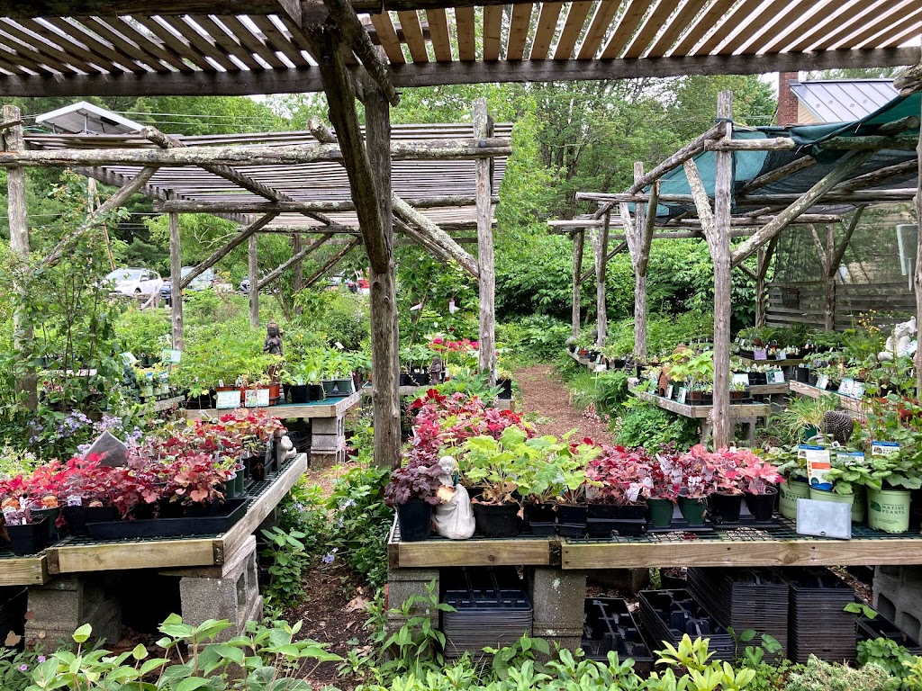 Catskill Native Nursery | 607 Samsonville Rd, Kerhonkson, NY 12446 | Phone: (845) 626-2758