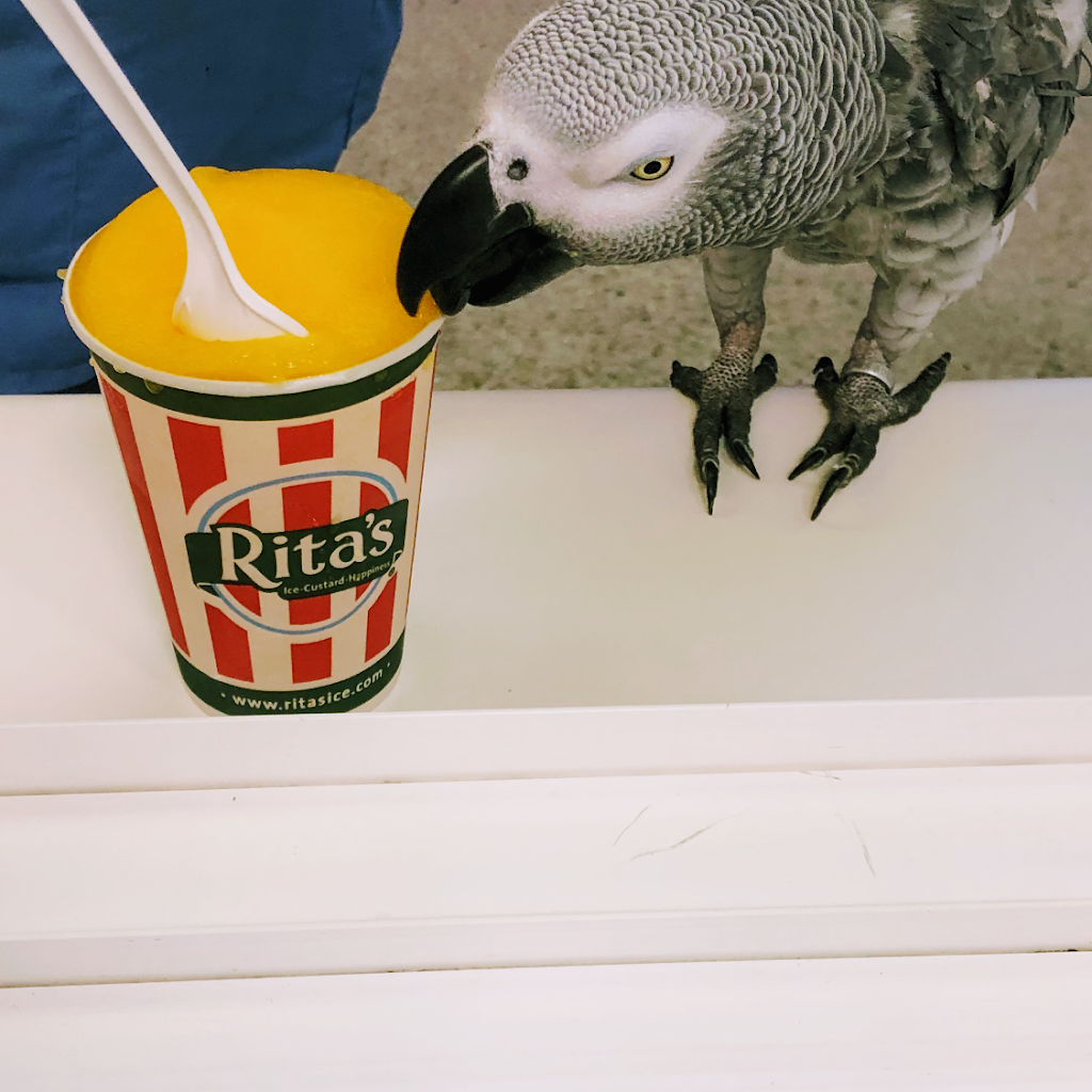 Ritas Italian Ice & Frozen Custard | 695 US-9, Little Egg Harbor Township, NJ 08087 | Phone: (609) 879-5517