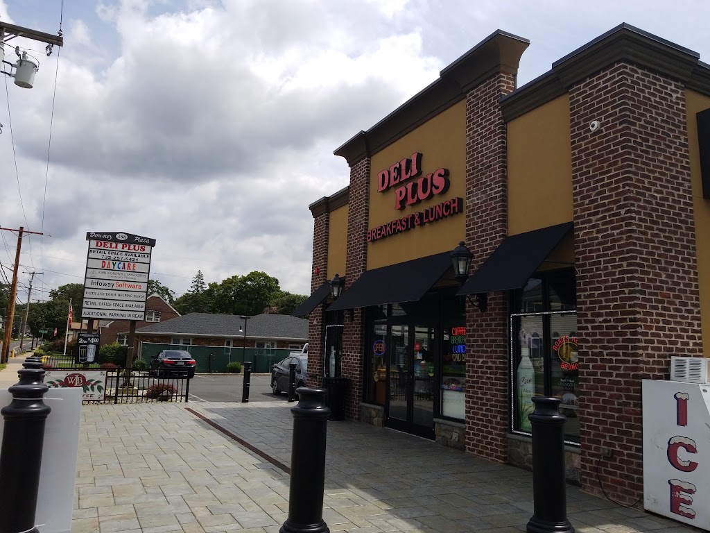 Deli Plus | 388 Washington Rd, Sayreville, NJ 08872 | Phone: (732) 387-0817