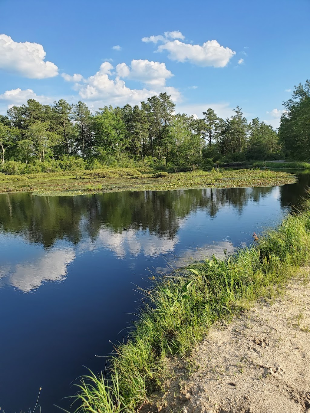 Whitesbog Preservation Trust | 120 W Whites Bogs Rd #34, Browns Mills, NJ 08015 | Phone: (609) 893-4646