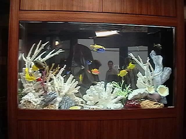 Aquarium Care Center | 197 Wall St, West Long Branch, NJ 07764 | Phone: (732) 660-7200
