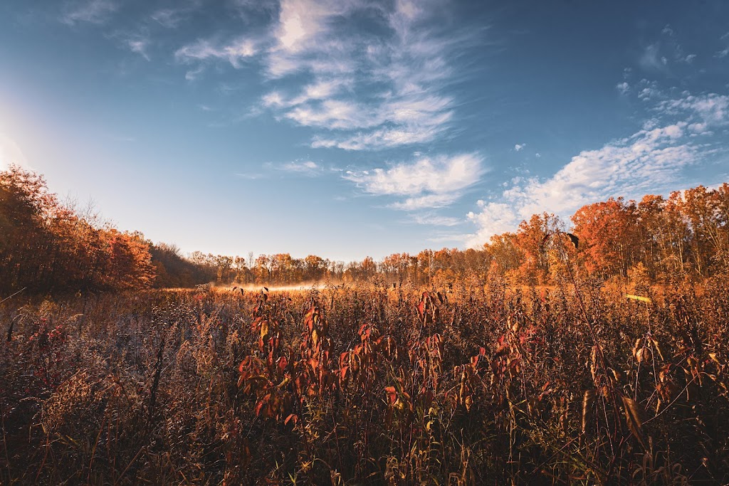 Great Swamp National Wildlife Refuge | 32 Pleasant Plains Rd, Basking Ridge, NJ 07920 | Phone: (973) 425-1222