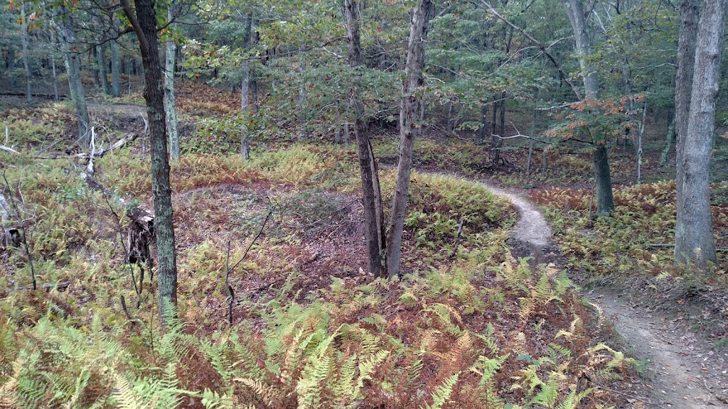 Rocky Point Mountain Bike Trail | Rocky Point Rd, Middle Island, NY 11953 | Phone: (631) 444-0270