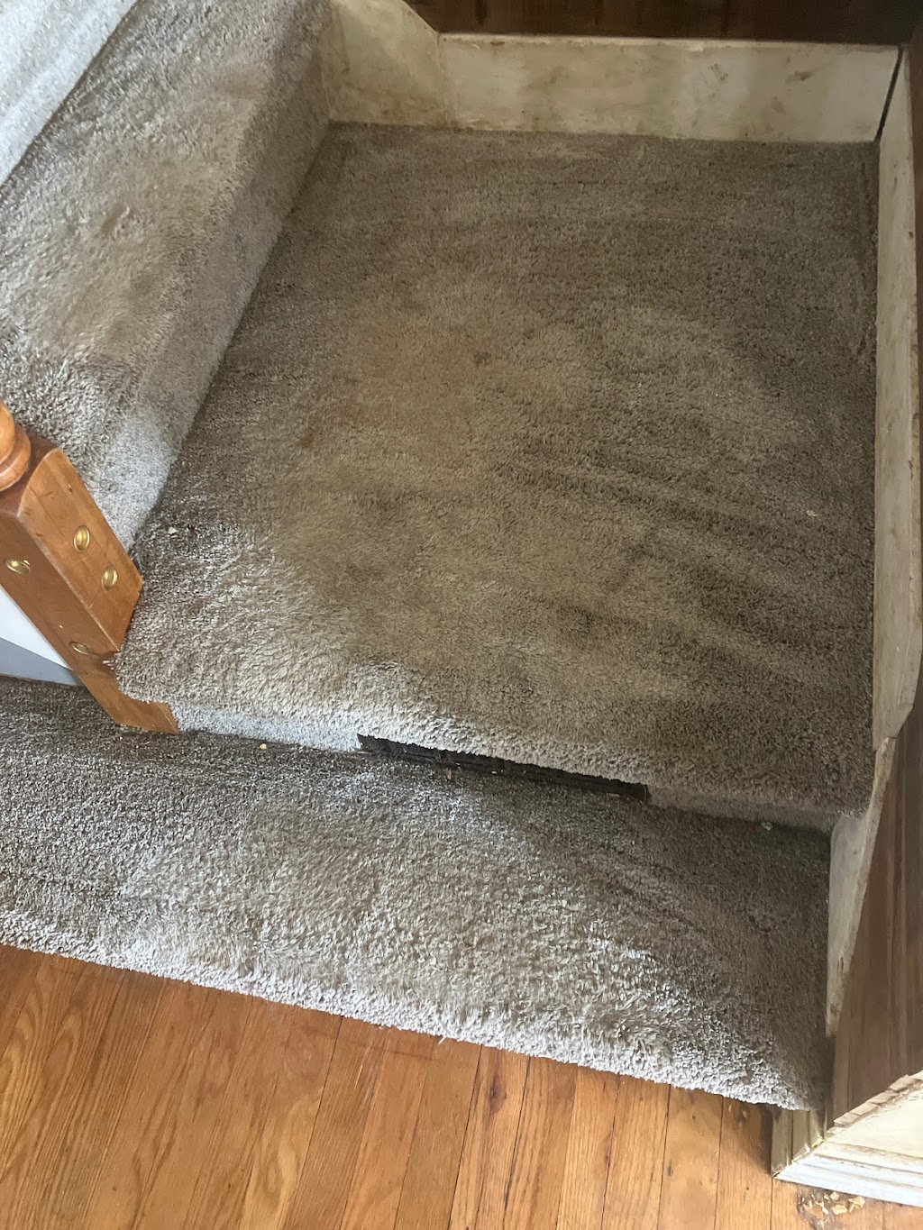 Innovative carpet cleaning | 29 Viburnum Ln, Mt Laurel Township, NJ 08054 | Phone: (609) 500-9523