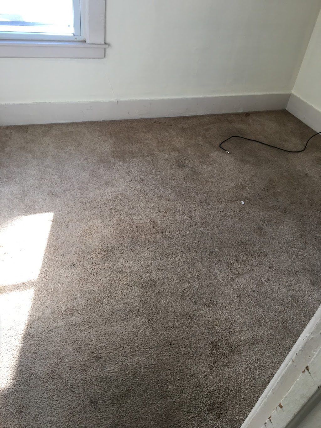 Hartford Carpet & Upholstery Clean | 327 Brainard Rd #410, Enfield, CT 06082 | Phone: (959) 265-0950
