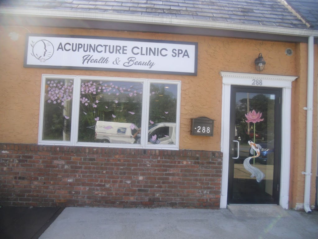 Acupuncture Clinic Spa Health & Beauty | 288 Hempstead Ave, West Hempstead, NY 11552 | Phone: (516) 271-3496