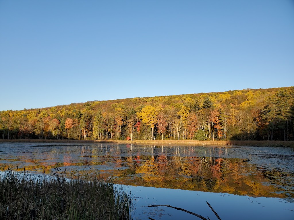 Fountain Pond State Park | US-7, Great Barrington, MA 01230 | Phone: (413) 532-3985