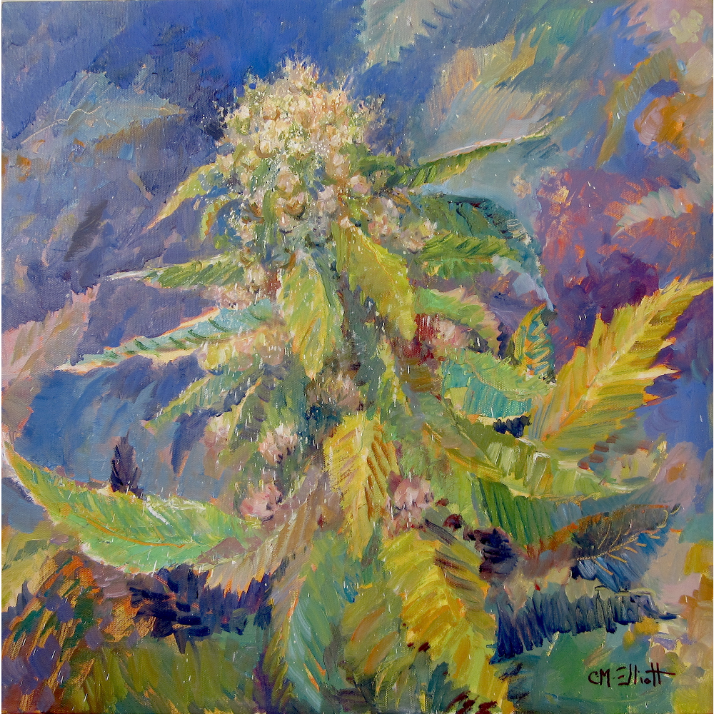 Art in Cannabis | 4 Brook Dr, Simsbury, CT 06070 | Phone: (860) 651-8836