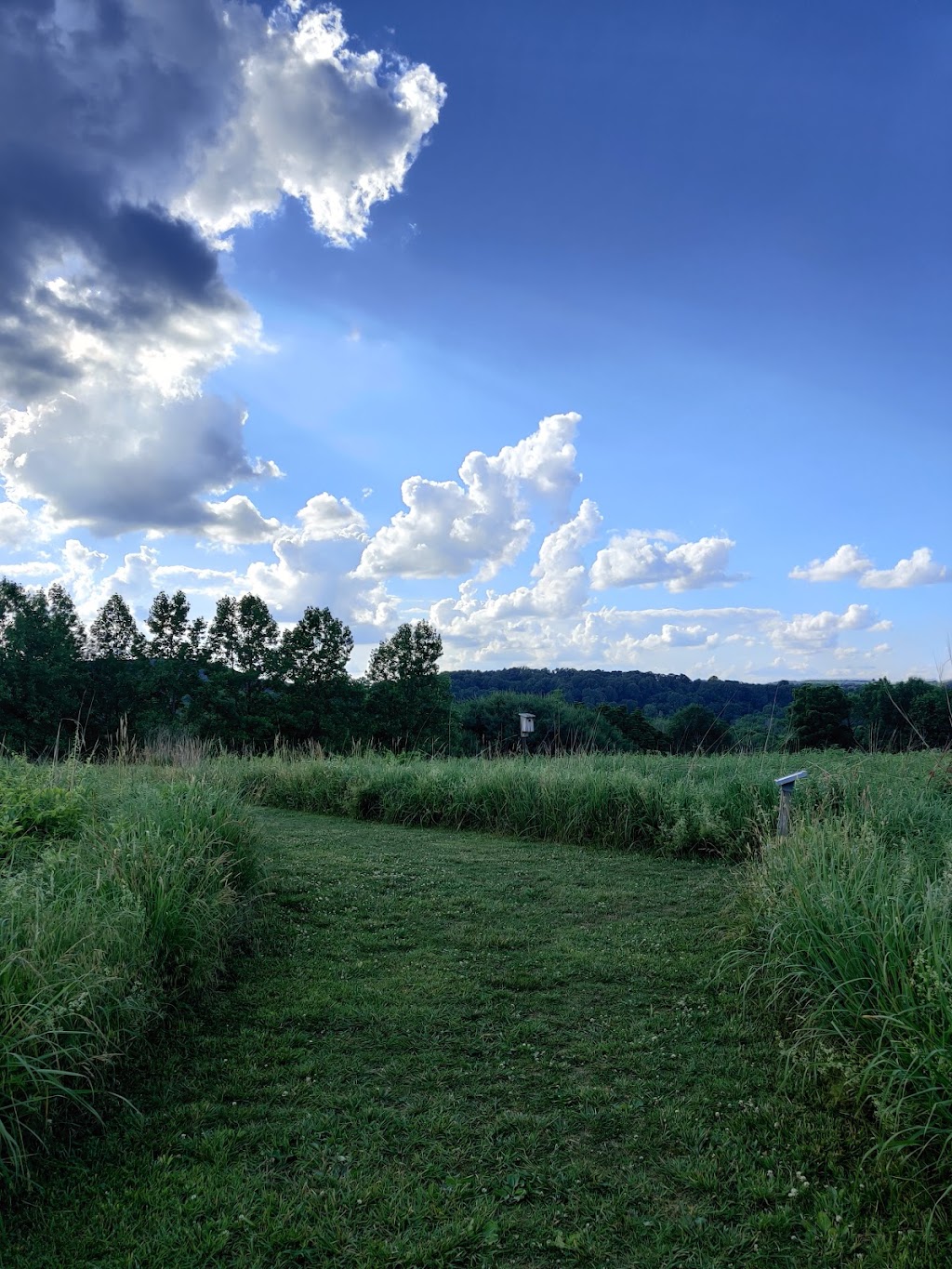 Natural Lands Binky Lee Preserve | 1445 Pikeland Rd, Chester Springs, PA 19425 | Phone: (610) 353-5587