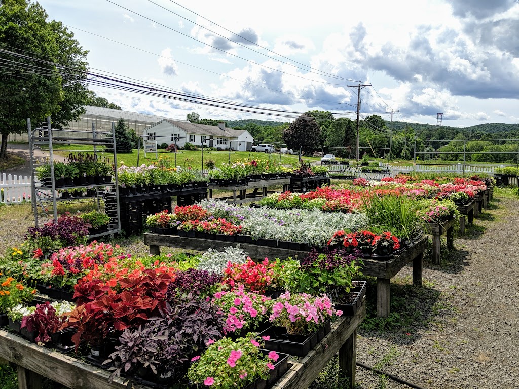 Zentek Farms | 325 Higgins Rd, Cheshire, CT 06410 | Phone: (203) 272-0444