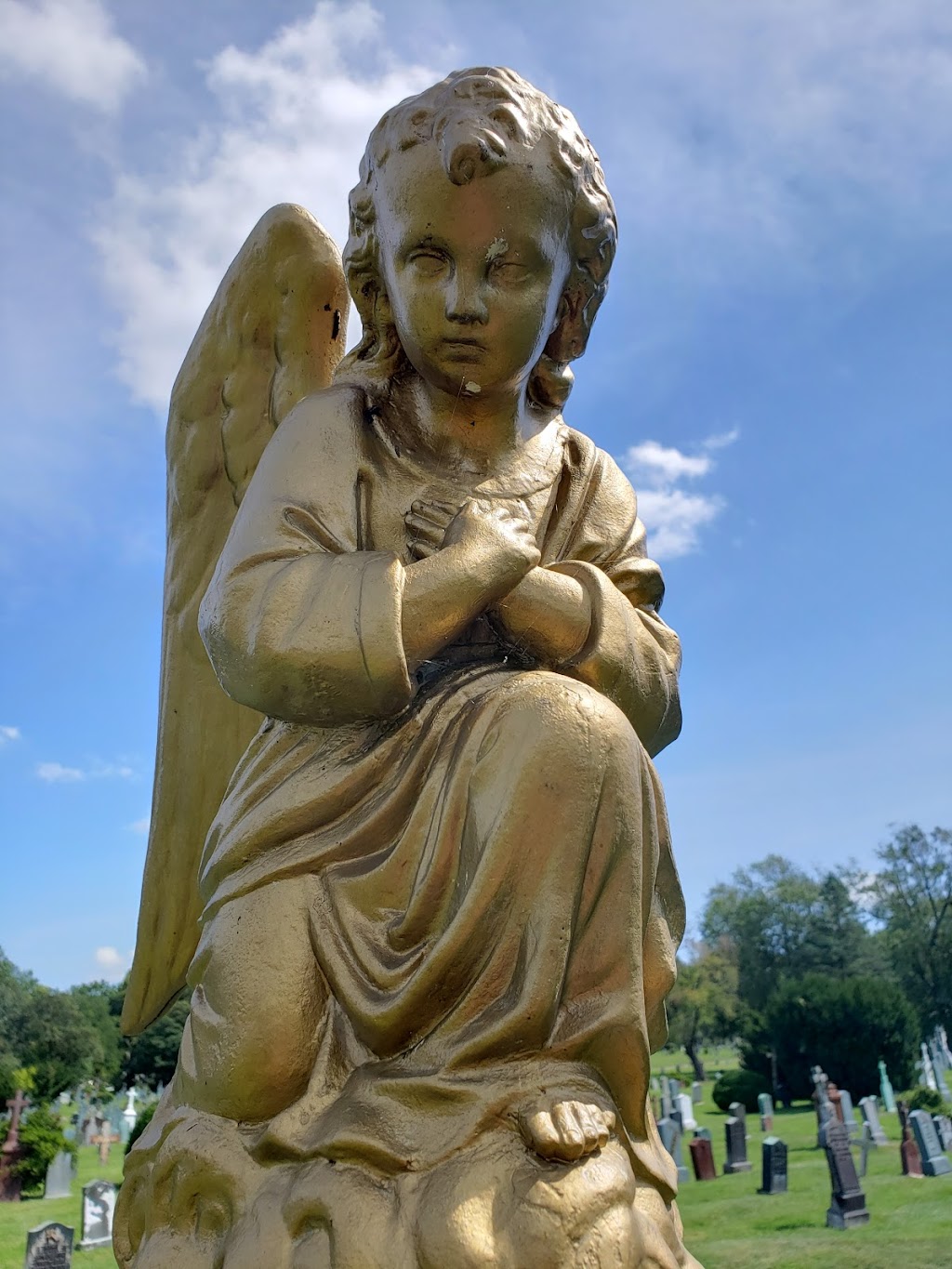 Most Holy Trinity Cemetery | 685 Central Ave, Brooklyn, NY 11207 | Phone: (718) 894-4888