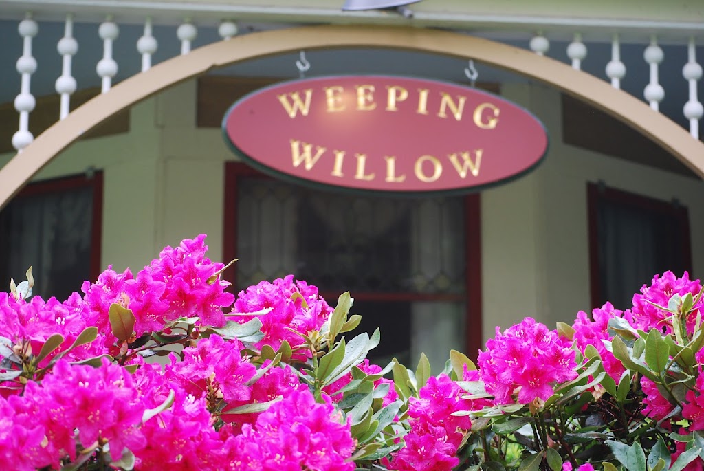 Weeping Willow Getaway | 264 Wagner Ave, Fleischmanns, NY 12430 | Phone: (201) 421-7582