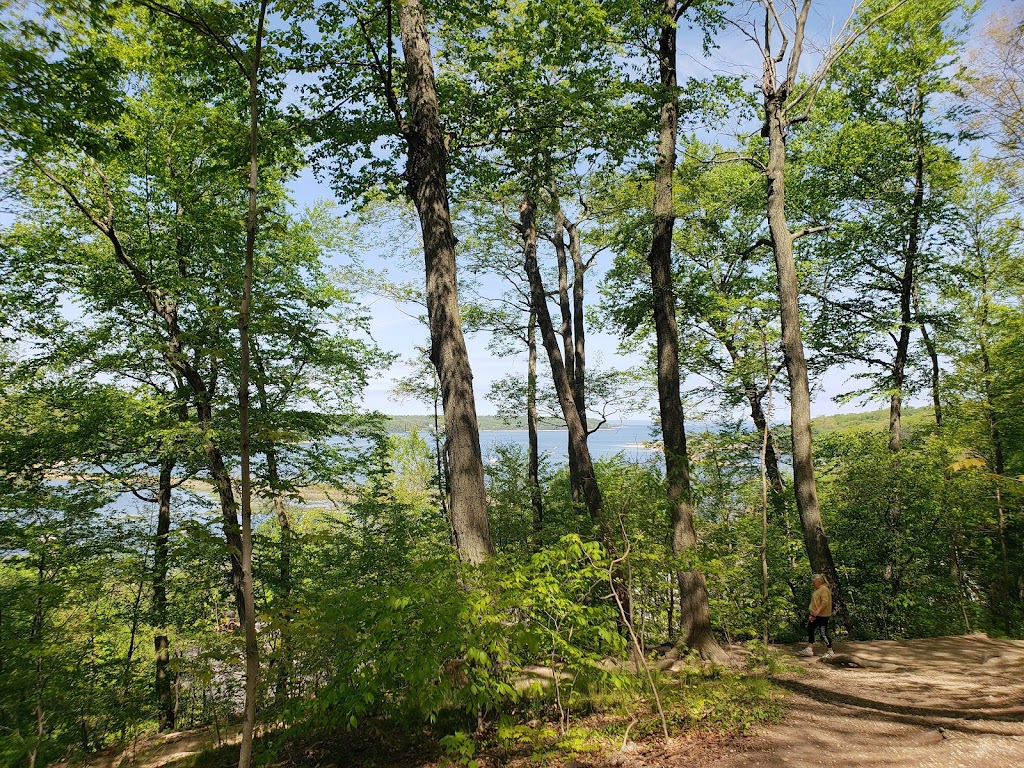 Cold Spring Harbor State Park | 95 Harbor Rd, Cold Spring Harbor, NY 11724 | Phone: (631) 423-1770
