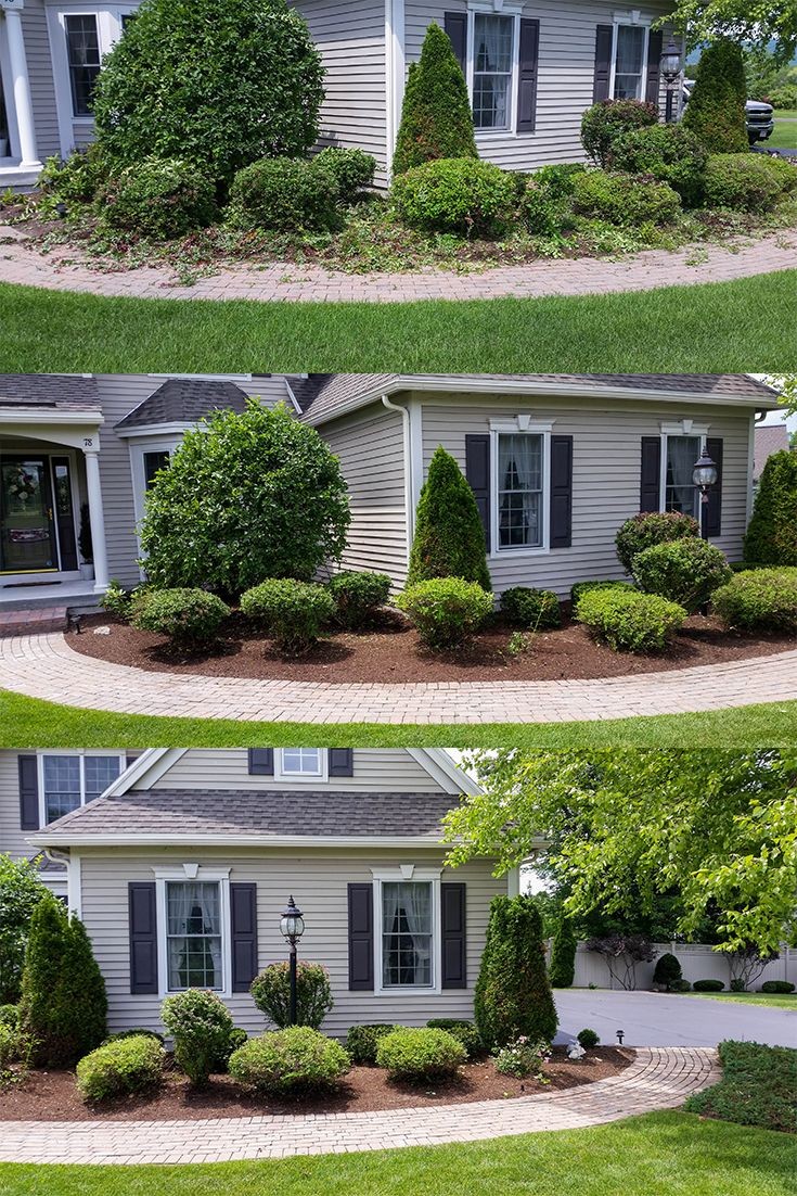 All green nature Landscaping & Lawn care LLC | 61 Seminole Ave, Oakland, NJ 07436 | Phone: (201) 887-4450