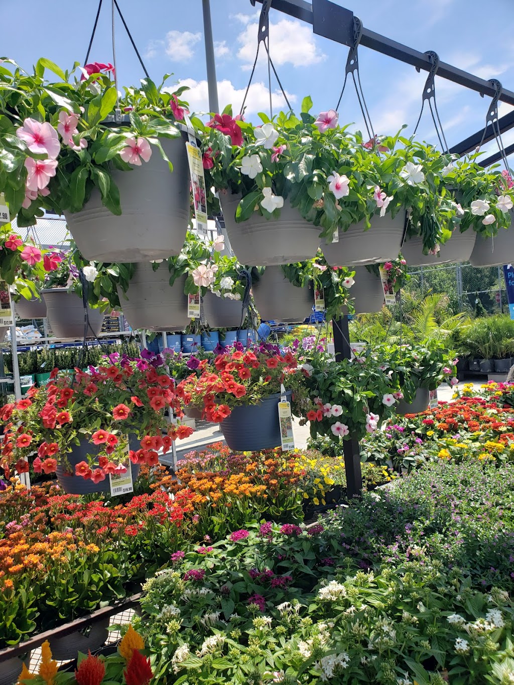 Lowes Garden Center | 6048 Black Horse Pike, Egg Harbor Township, NJ 08234 | Phone: (609) 641-3233