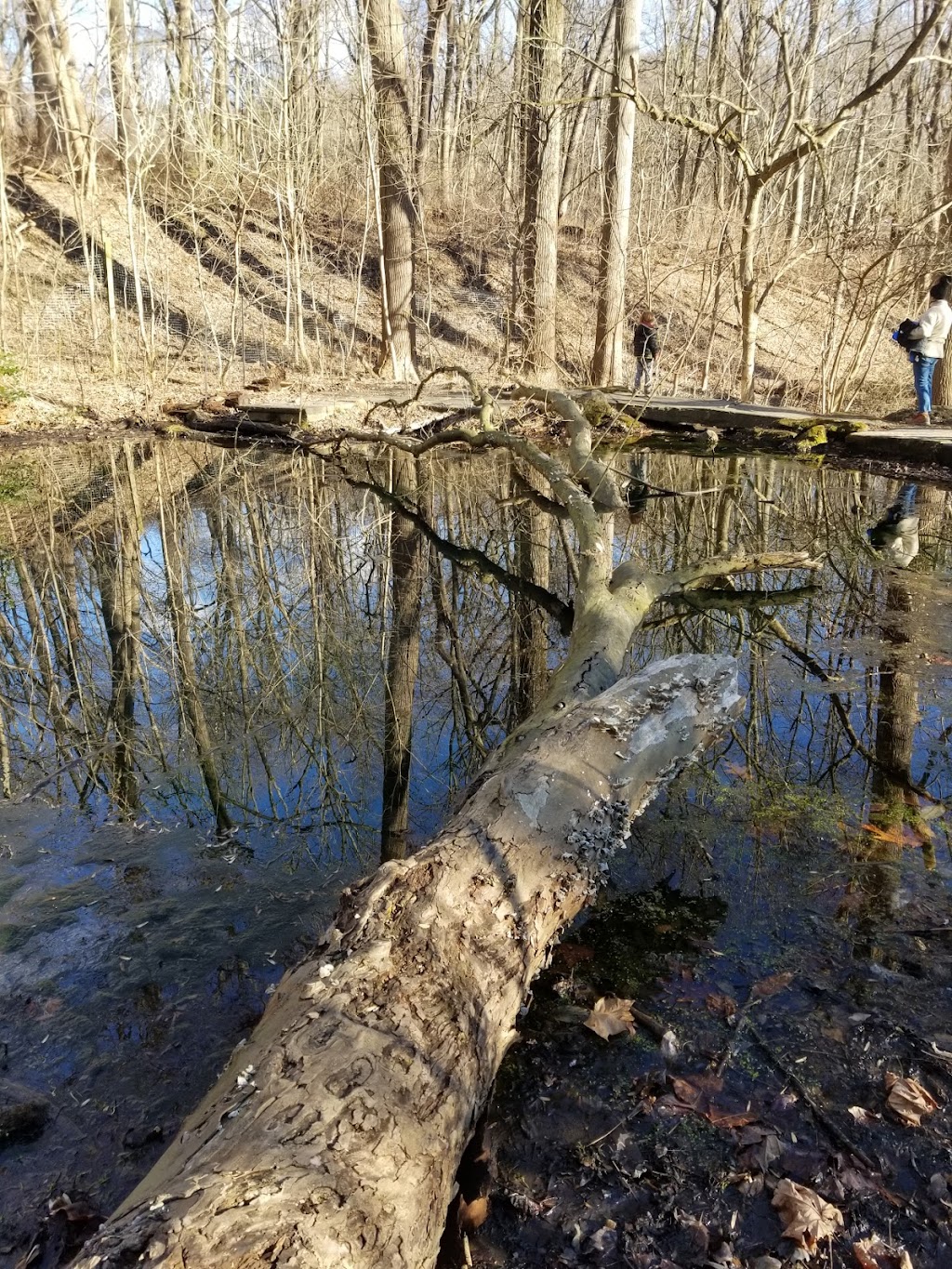 Schuylkill Center for Environmental Education | 8480 Hagys Mill Road, Philadelphia, PA 19128 | Phone: (215) 482-7300