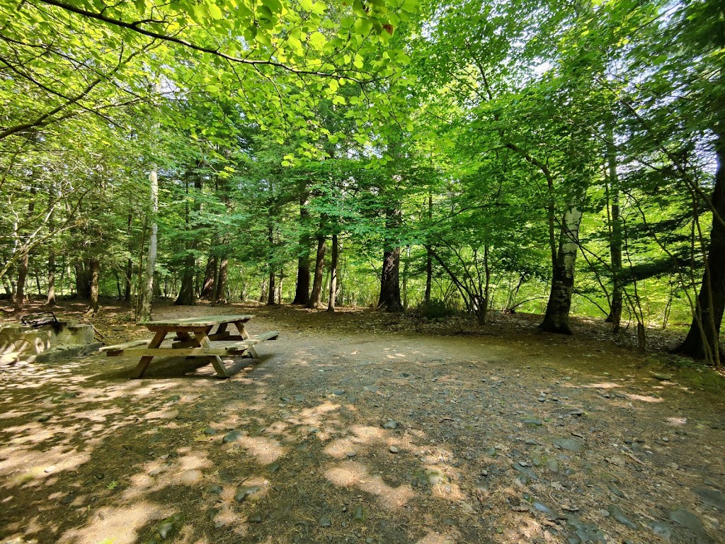 Kenneth L. Wilson Campground | 859 Wittenberg Rd, Mt Tremper, NY 12457 | Phone: (845) 679-7020