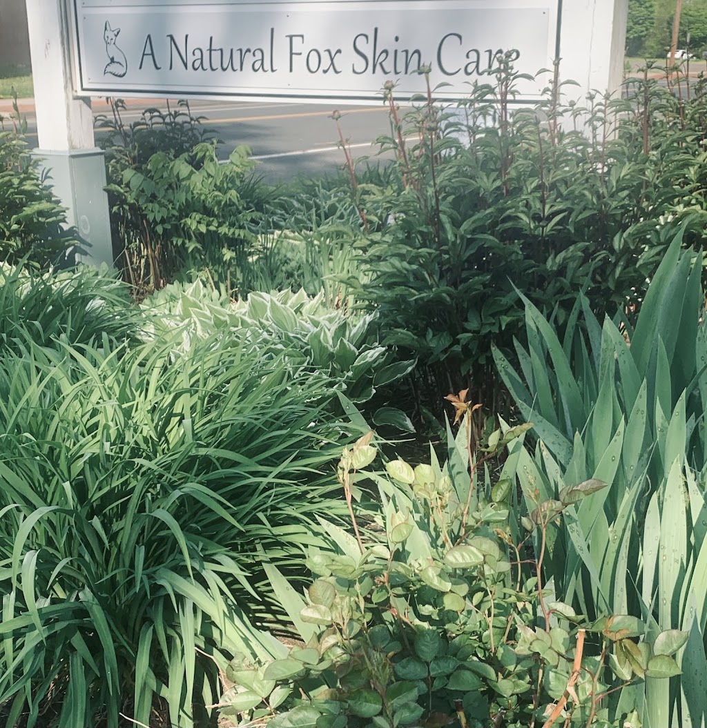 A Natural Fox | 96 Poquonock Ave suite d, Windsor, CT 06095 | Phone: (860) 268-3937