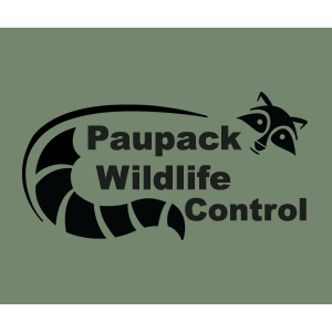Paupack Wildlife Control | 121 Gumbletown Rd, Paupack, PA 18451 | Phone: (570) 251-1544