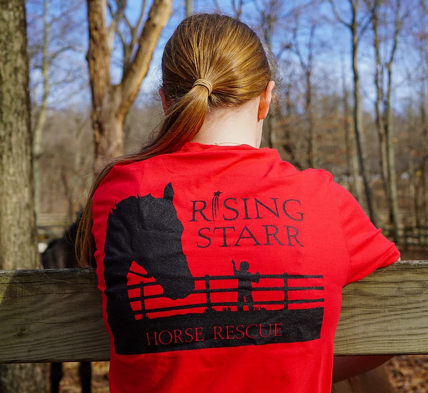 Rising Starr Horse Rescue | 93 Silver Spring Rd, Wilton, CT 06897 | Phone: (203) 257-8345