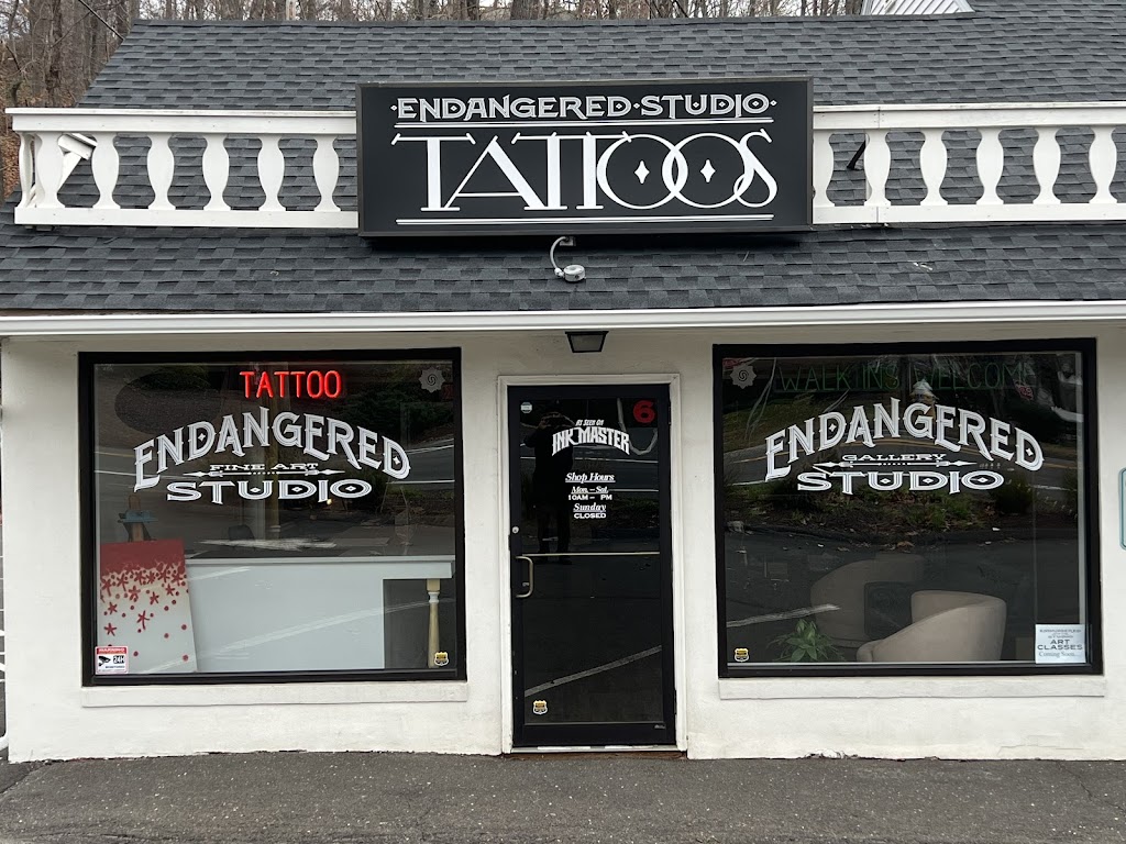 Endangered Studio | 494 Main St #6, Monroe, CT 06468 | Phone: (203) 880-9903