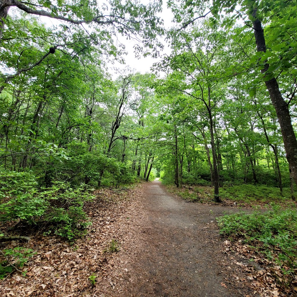 U.S. Fish & Wildlife Services | Long Island National Wildlife Refuge Complex Visitor Center, 340 Smith Rd, Shirley, NY 11967 | Phone: (631) 286-0485