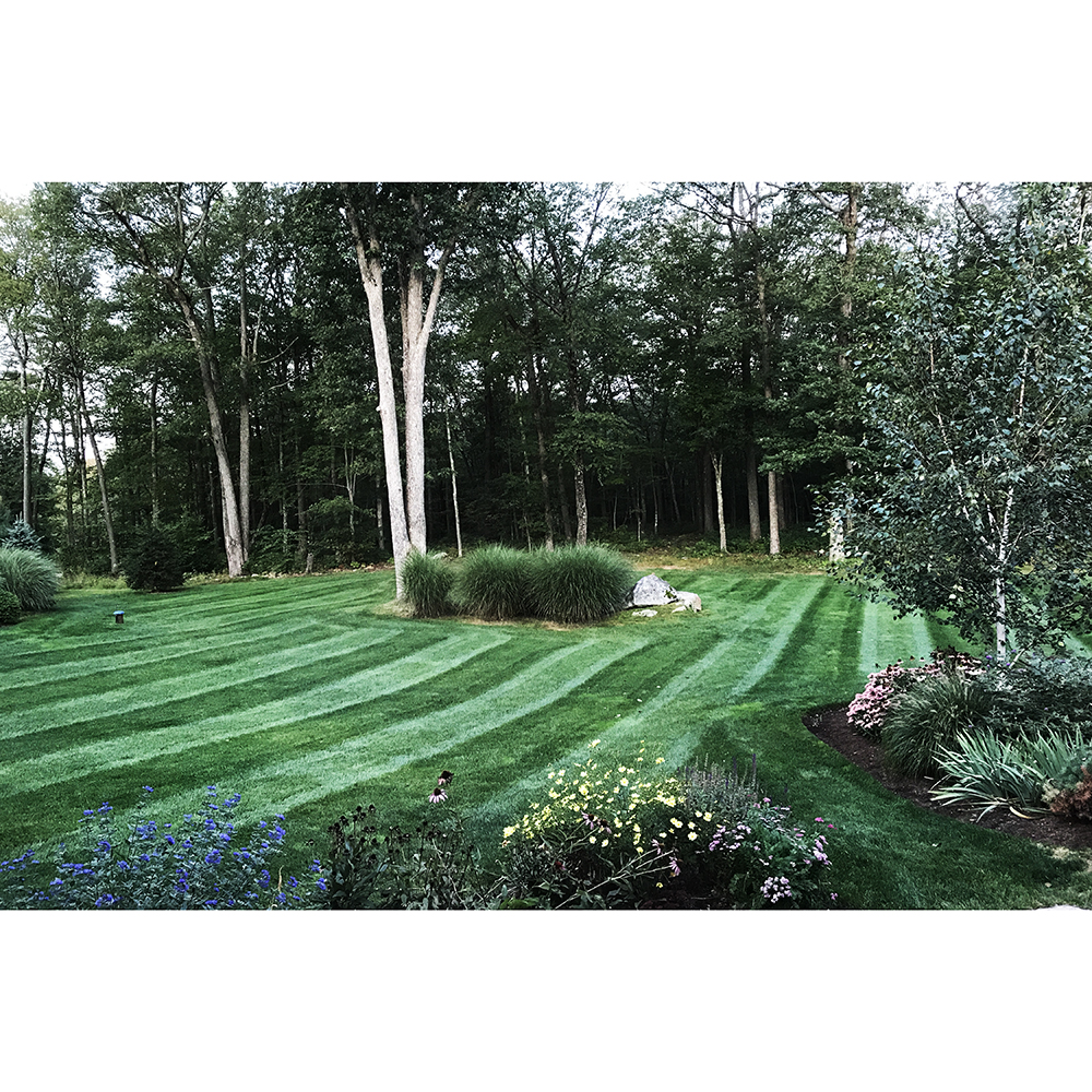 New England Lawn and Tick | 41 Hoop Pole Hill Rd, Chester, CT 06412 | Phone: (860) 322-4629