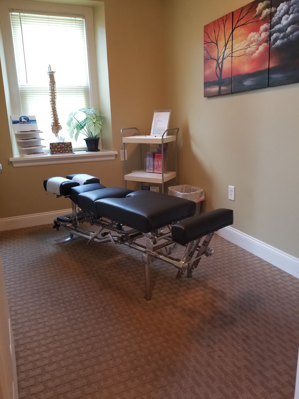 Meitz Family Chiropractic | 450 S Trooper Rd, Norristown, PA 19403 | Phone: (610) 539-5000