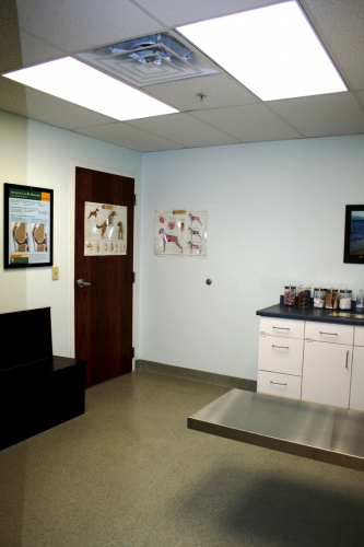 Animal Clinic of Westtown Village | 1169 Wilmington Pike, West Chester, PA 19382 | Phone: (610) 399-6889