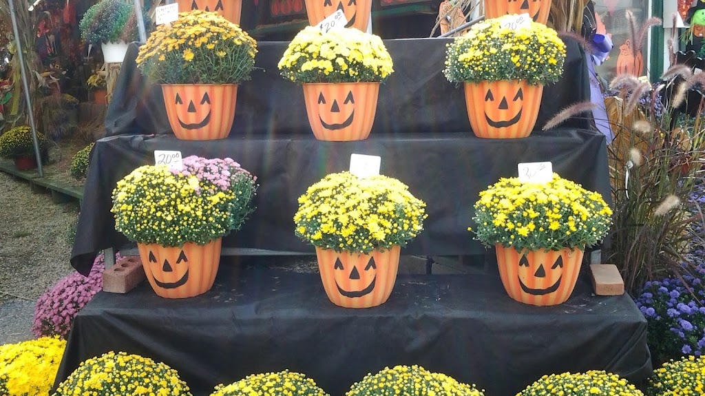 Hilltop Garden Center | 1339 N Black Horse Pike, Hilltop, NJ 08012 | Phone: (856) 232-8844