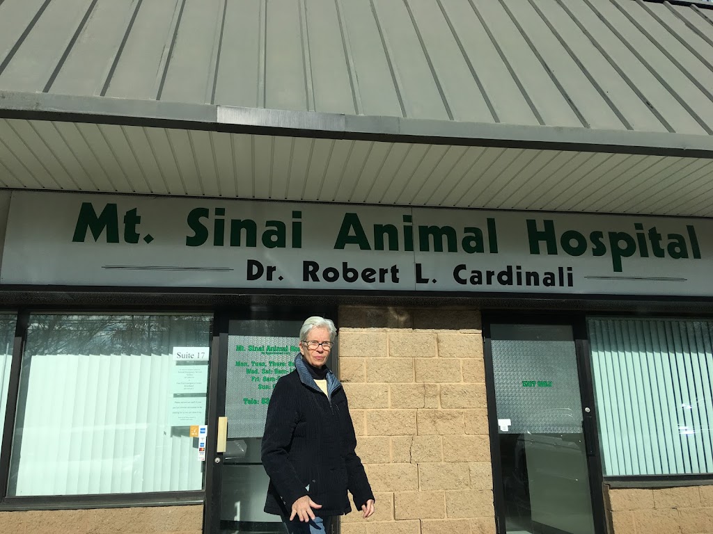 Mt Sinai Animal Hospital | 331 NY-25A Ste 17, Mt Sinai, NY 11766 | Phone: (631) 476-1304