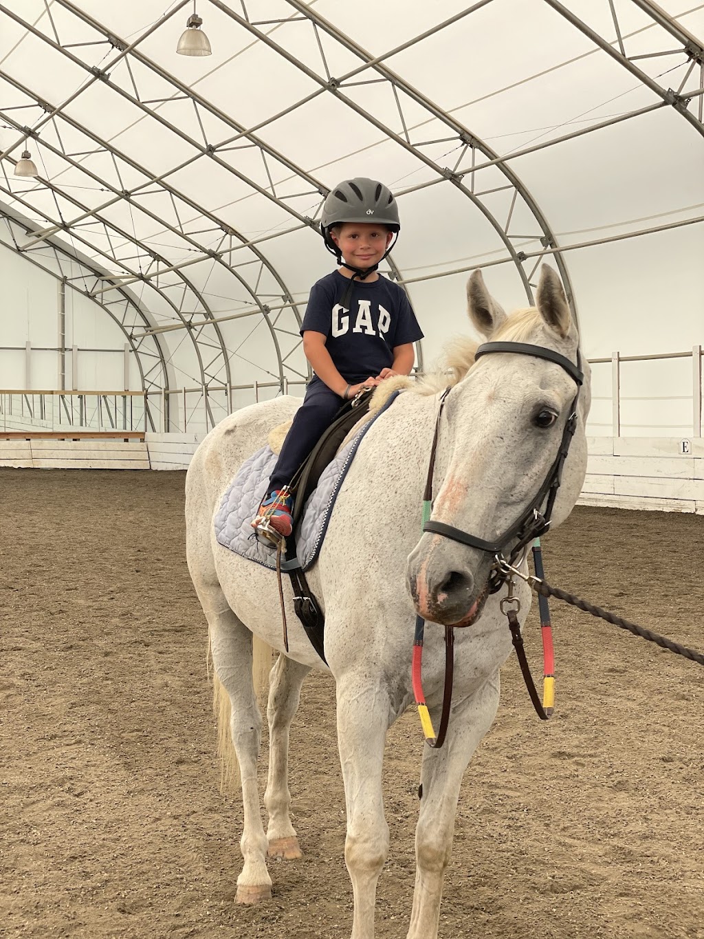 Friendship Equestrian Center | 91 Courts Ln, Hudson, NY 12534 | Phone: (518) 859-6423