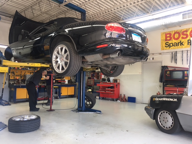 Euro Motors of Stratford | 1490 Stratford Ave, Stratford, CT 06615 | Phone: (203) 375-2332