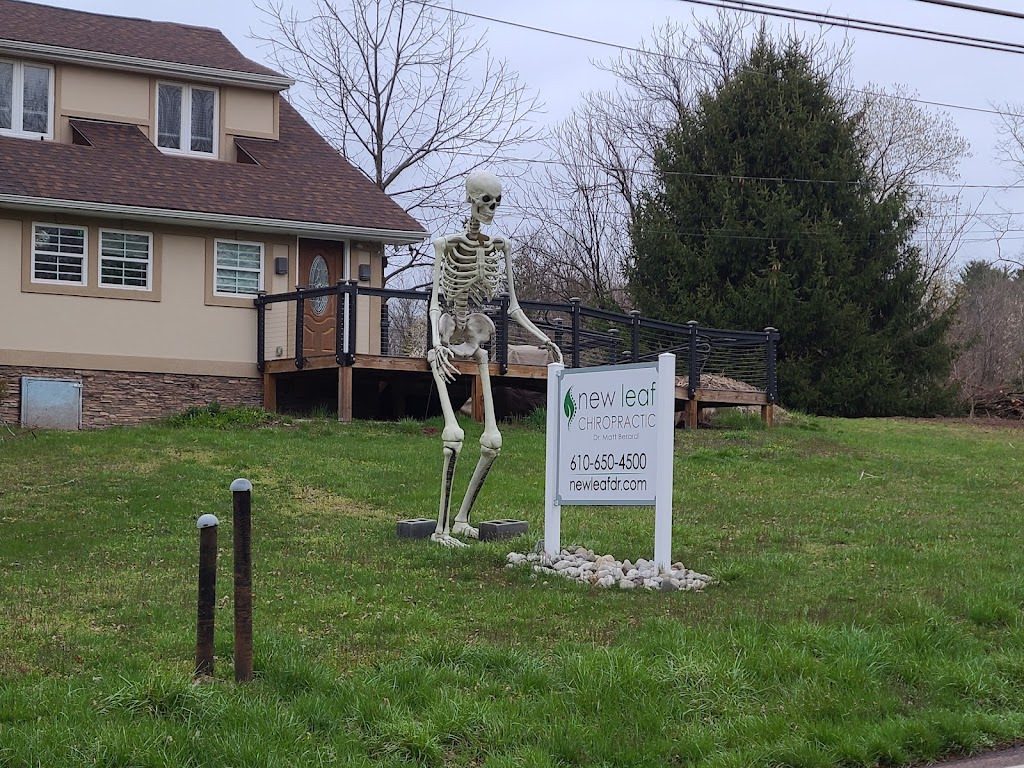 New Leaf Chiropractic | 1501 Pawlings Rd, Phoenixville, PA 19460 | Phone: (610) 650-4500