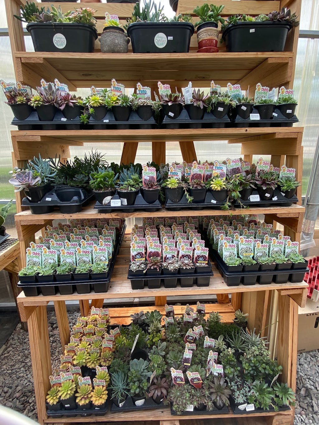 Countryside Floral And Greenhouses | 129 Mt Cobb Hwy, Lake Ariel, PA 18436 | Phone: (570) 689-4438