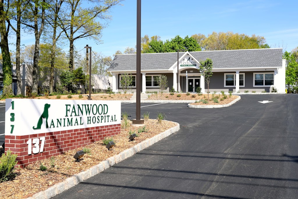 Fanwood Animal Hospital | 137 South Ave, Fanwood, NJ 07023 | Phone: (908) 322-7500