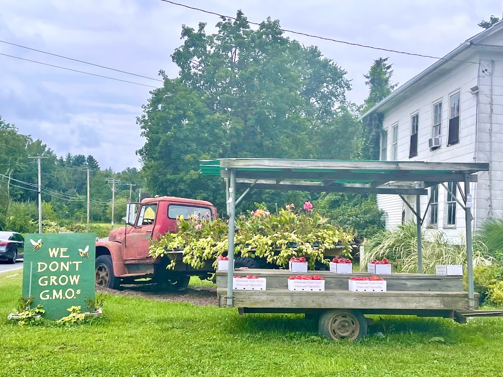 Blossoming Acres Putnam Farm | 249 College Hwy, Southwick, MA 01077 | Phone: (413) 569-3663