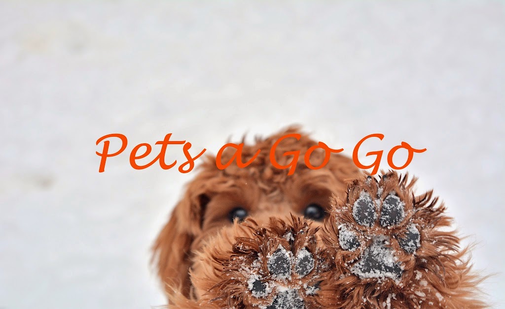 Pets a Go Go LLC | 589 N State Rd, Briarcliff Manor, NY 10510 | Phone: (914) 458-4181
