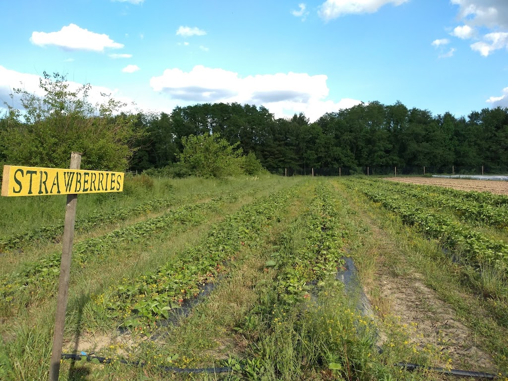 College Settlement Camps-Headwaters Of Pennypack Creek | Unnamed Road, Horsham, PA 19044 | Phone: (215) 542-7974