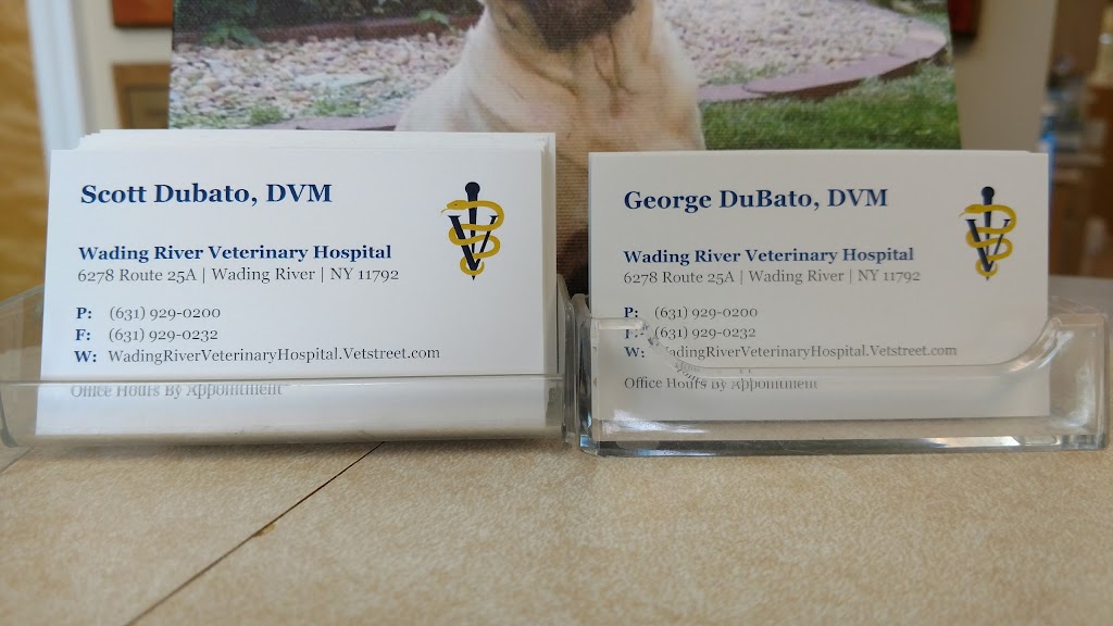 Wading River Veterinary Hospital | 6278 NY-25A #6, Wading River, NY 11792 | Phone: (631) 929-0200